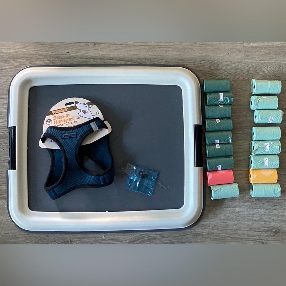 Puppy Accessories Bundle